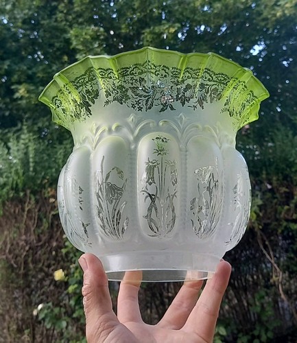 Rare shape colour - rare, victorian
