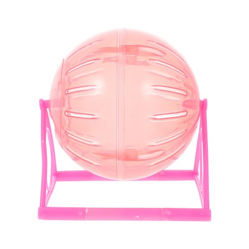 Hamster run pets sports - hamster,