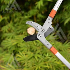 Extendable Telescopic Tree