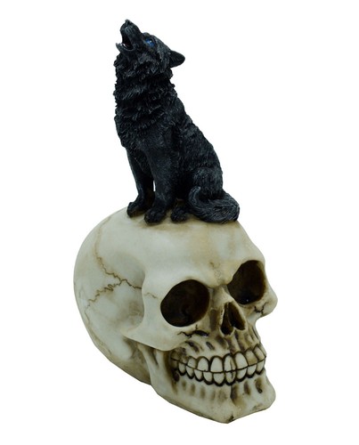 Skull with wolf - with,