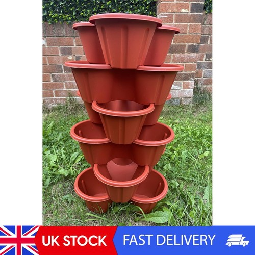 Strawberry planter trio - strawberry,