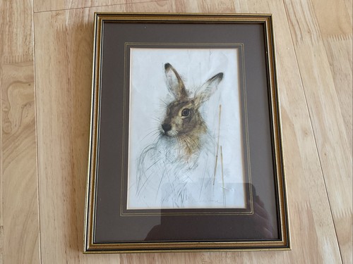 Attractive painting hare - attractive,