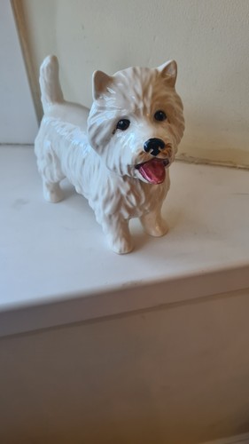 Scottish west highland terrier - west,