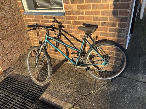 Raleigh activator ladies - raleigh,