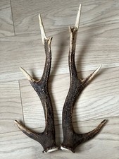 PAIR OF SIKA DEER ANTLERS