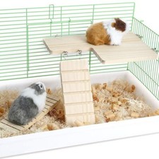 Guinea Pig Wood Ladder