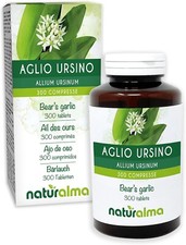 21) 300 x Bear's Garlic Wild Garlic (Allium ursinum) Leaves and Bulbs Naturalma