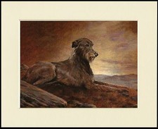 IRISH WOLFHOUND ON A HILLSIDE AT DAWN LOVELY DOG PRINT MOUNTED READY TO FRAME