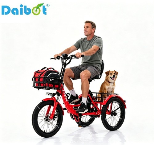 350w folding electric trike - electric, 3