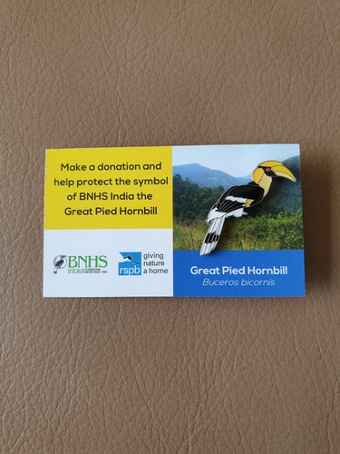 Rspb great pied - great,