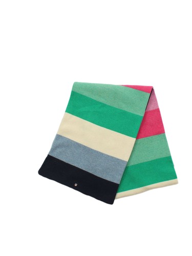Gant men scarf multi striped - men's,