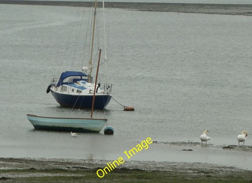Photo 12x8 boats and birds - 12x8,