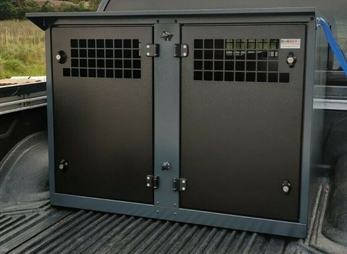 Dog box - dog,