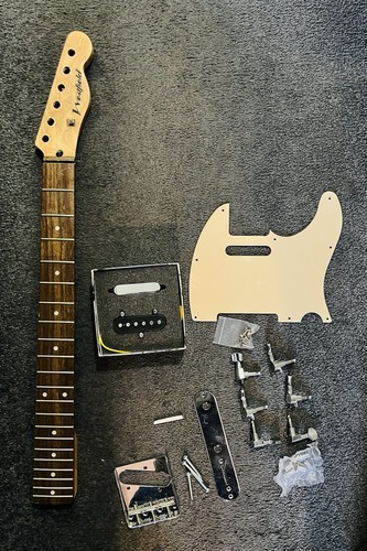 Telecaster project parts - project,