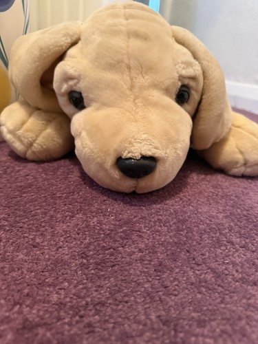 Simply soft collection dog - simply,