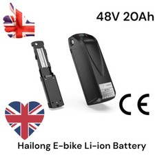 48V 20Ah 250W 1000W Lithium