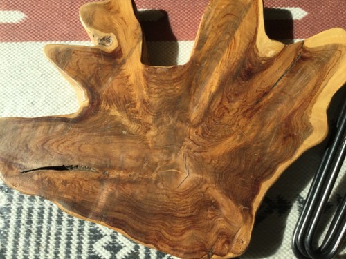 Nwt modern nakashima - modern,