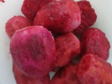 40 PURPLE PRICKLY PEAR SEEDS - OPUNTIA FICUS INDICA