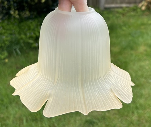 Vintage frosted glass tulip - frosted,