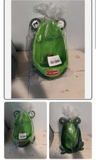 Boy's Frog Potty for