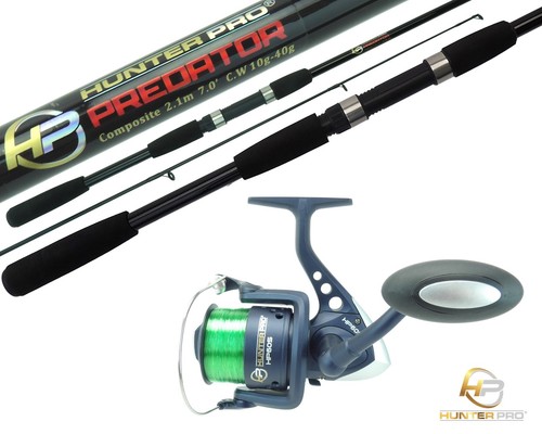 Pike bass spinning rod - bass, reel