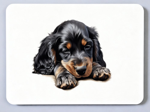 Gordon setter picture - gordon,