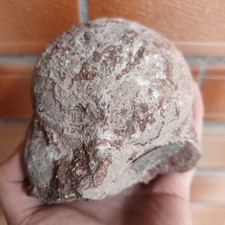 Jurassic Age of Dinosaur Egg
