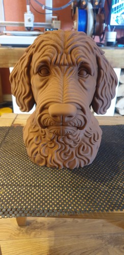 Large labradoodle bust - large,