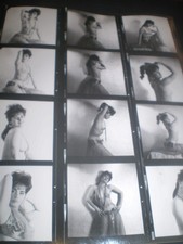 1960's original  SOPHIA DAWN