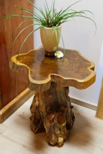Wood Side Table Tree Disc Teak Table Root Wood Rustic Living Room New