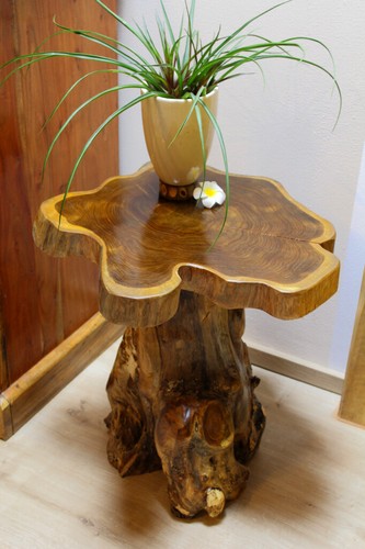 Kinaree alor setar rustic - alor,