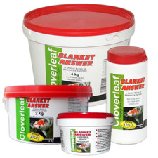 Cloverleaf Blanket Answer