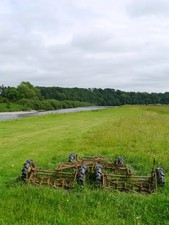 Photo A1 Riparian Grassland