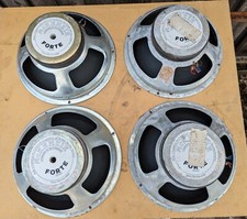 mckenzie forte 12 inch speaker