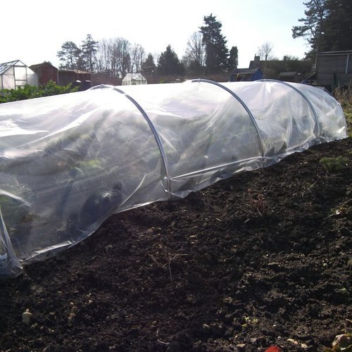 Clear garden polythene sheet - clear,