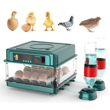 Incubators for Hatching Eggs