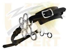 Polish Flower Bitless Bridle