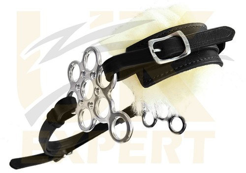 Polish flower bitless - polish, bridle
