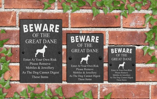 Humorous beware the dog - beware,