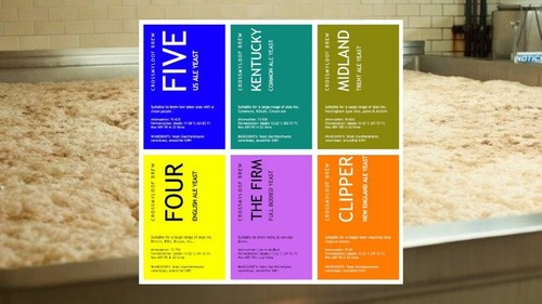 Home brew premium beer yeast - brew,