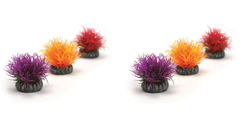 Oase biorb aquatic - oase, color
