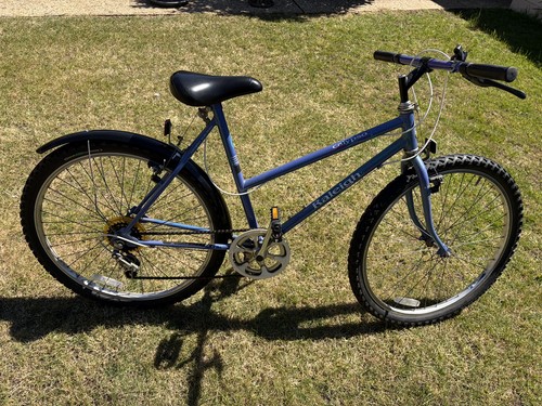 Raleigh calypso ladies - ladies, 19”