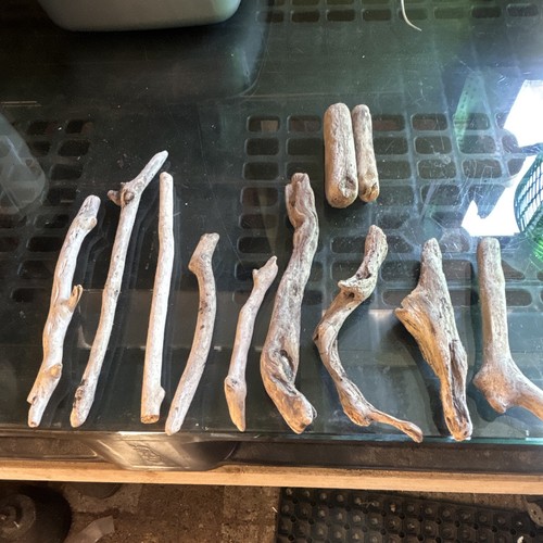 Natural driftwood pieces - pieces, lot