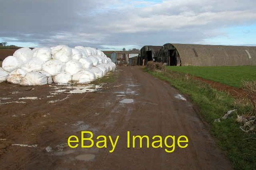 Silage bales nash lane - silage,