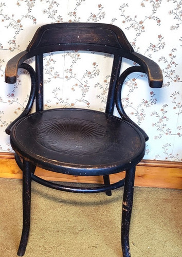 Antique bentwood peacock - antique,