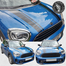 Exact Bonnet Hood Stripes for