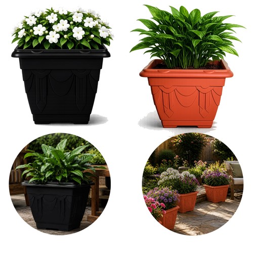 Venetian style plant flower - plant,