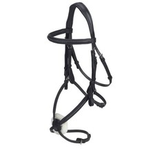 GFS Transition Grackle Bridle 