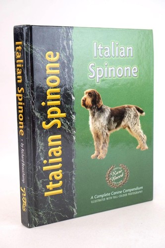 Italian spinone beauchamp - italian,