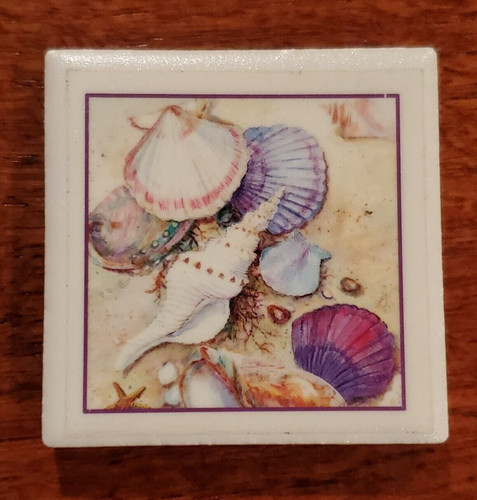Sea shell sand beach - shell, magnet